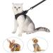 Ultra-Light Adjustable Cat Dishes & Escape Protection Vest for Kittens Soft Padded Running Jacket (1 Pack) - Gray - Buy Online on GoSupps.com