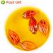 100% Dried Gardenia Fruit 3.52oz/100g de gard nia Le connaisseur Gardenia sec Gardenia Tea tisane naturelle sans additifs sans soufre herbes chinoises | Cape jasmin - Buy Online on GoSupps.com