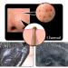 SHILLS Blackhead Remover Pore Control Bamboo Charcoal Peel Off Mask - 1.69 fl. oz - Buy Online on GoSupps.com