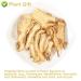 Buy Organic Angelica Root 70g - Dried Cut Root & Tea | Premium Archangelica Officinalis for Herbal Remedies - International Shipping - Buy Online on GoSupps.com