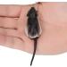 2pcs Freshwater Soft Rubber Mouse Rat Fishing Lures - Dual Hook Bass Bait in Dark Grey - Buy Online on GoSupps.com