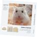 HANABASS Box Rabbit Toilet Hamster Bathroom Medium Potty for Rabbits Hamsters Bunny Litter Cage Plastic White 25X19X10CM White - Buy Online on GoSupps.com