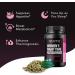 Night Time Fat Burner for Women | Powerful Weight Loss Pills to Suppress Late Night Cravings & Boost Fat Burn - Buy Now! - Buy Online on GoSupps.com