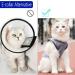 Professional Cat Surgery Recovery Suit for Abdominal Wounds | E-Collar Alternative for Cats & Dogs | Medium Grey-blue - Buy Online on GoSupps.com