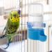 MEISH 3pcs Automatic Bird Feeders Bird Water Dispenser Automatic Bird Water Bottle Food Feeder for Parrots Budgie - Buy Online on GoSupps.com