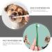 Balacoo 4pcs Pet Toothbrush Chewable Toothpaste Dog Toothbrush Stick -bristle Toothbrush Handheld - Buy Online on GoSupps.com