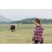 LBH Market Livestock Ear Tag Remover Tool - Hay String & Bandage Cutter for Cattle, Goat, Sheep, Pig - Ear Tag Removal Knife - Buy Online on GoSupps.com
