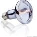 Exo Terra Halogen Basking Spot 75W - Broad Spectrum Daylight Lamp E27 Socket - 1 Pack for Reptiles & Amphibians - Buy Online on GoSupps.com