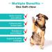 Daily Pet Care Hip and Joint Supplements For Dogs | Dog Joint Supplements to Reduce Stiffness and Improve Mobility with Organic Turmeric Glucosamine Chondroitin and Green Lipped Mussel For Dogs - Buy Online on GoSupps.com