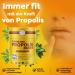 Buy 100% Natural Propolis Paste - Strengthen Immunity Enhance Complexion & Promote Wound Healing | With Royal Jelly Ginseng & Beta-Glucan - Buy Online on GoSupps.com