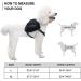 Adjustable Dog Saddle Bag Harness for Medium to Large Dogs | Durable Travel Backpack for Hiking and Camping - Black - Buy Online on GoSupps.com