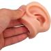 Silicone Ear Model Soft Silicone Nose Model Silicone Body Parts for Piercing Practice Silicone Flexible Model Human Ear Model for Jewelry Display Teaching Instructions (#1) - Buy Online on GoSupps.com