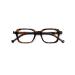 Gian Marco Venturi Unisex Sondrio Reading Glasses Tortoise (+3.00)
