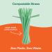 ECO SOUL 100% Compostable Straws - 100 Count, 8.25 inch, Eco-Friendly, Biodegradable, Sustainable, Disposable Straws for Cocktails, Cold Drinks, Smoothies - Bendable - Buy Online on GoSupps.com