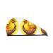 Bird's nest golden chicken dry hair cap girls soft super absorbent elastic wrap wet hair long thick hair quick dry cap women's cap