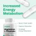 Vitasave Magnesium L-Threonate | 144mg Elemental Magnesium | Super Absorption - Energy Metabolism - Supports Muscle Function | Non-GMO Vegan-Friendly 120 Capsules per Bottle - Made in Canada - Buy Online on GoSupps.com
