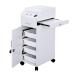 Winado Hair Salon Storage Cart with Wheels & 3 Hair Dryer Holders & 4 Drawers & Lock & 2 Keys Hairdressing Tools Station Mobile Makeup Case SPA Utility Trolley (White)