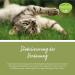 Sanct Bernhard Tierlieb Darm-Regulat for Cats | Probiotic Dietary Supplement for Digestion | 120 Capsules - Buy Online on GoSupps.com