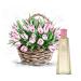 Buy ISA Eau de Parfum Spray 3.4 oz - Premium Quality Fragrance International Shipping Available - Buy Online on GoSupps.com