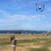Mint's Colorful Life Butterfly Kite - Easy-to-Fly Large Single Line Kite for Kids & Adults | Perfect for Beach Fun | 300 FT String & Kite Handle Included (Blue) - Buy Online on GoSupps.com