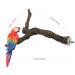 Allazon 4-Piece Bird Toys Set - Natural Wood Seat Rods & Grape Stick Swing for Parrots - Best Bird Play Accessories - Buy Online on GoSupps.com