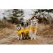 Shop Hunter Dog Raincoat in Milford Yellow - Size 50 | Best International Shipping - Buy Online on GoSupps.com