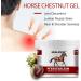 Buy Pferdebalsam Horse Balm Gel - Extra Strength Warming Massage for Joint & Muscle Support | 8.8 oz with Horse Chestnut & Safflower Extract - International Shipping Available - Buy Online on GoSupps.com