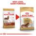 Royal Canin Teckel Adulte 500 GR - Buy Online on GoSupps.com