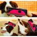 Dog Brush Cat Brush Grooming Comb 3-in-1 Deshedding and Undercoat Brush Pet Dematting Comb Pet Grooming Tool with Cleaning Button for Cat Dog Horses Shedding Brush (Pink) - Buy Online on GoSupps.com
