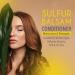 Dr. Robaina Sulfur Balsam Conditioner - Shea Butter & Tea Tree Moisturizer for Hair and Scalp - Beauty & Personal Care - Buy Online on GoSupps.com