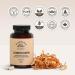 Cordyceps Mushroom Capsules by Bloomable I Energy and Endurance (120 Capsules) - Buy Online on GoSupps.com
