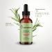  JPSDOWS Rosemary | Natural Hair | Create a smooth look improves scalp health nourishes hair and relieves itching and dryness. 2.0 Fl.oz - Buy Online on GoSupps.com