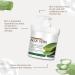 Aloe Vera Skin Care Products Gel Aloe Vera Lotion Sun Burn Recovery Cream After Sun Body Lotion Vitamin C + Hyaluronic Acid Sun Damaged Skin Repair Moisturizing Cream (1) - Buy Online on GoSupps.com