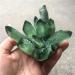 Natural Crystal Rough Specimen Green Ghost Phantom Quartz Crystal Cluster Rock Stones Crystals ReikiSpecimen Home DecorStone Natural Luster 300-400g