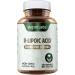 Vegan Labs R-Lipoic Acid 300MG - 120 Vegan Capsules for Cellular Energy & Antioxidant Support | Gluten Free Non-GMO 4 Month Supply - Buy Online on GoSupps.com