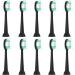 Everystep 10 Pack Replacement Toothbrush Heads for AquaSonic Black Series Electric Toothbrushes - Buy Online on GoSupps.com