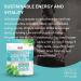 Medi-Evil Nutrition Vegan Protein Powder - Natural Ingredients, Gluten-Free, Soy & Pea Protein, Vanilla Cream 600g - 20 Servings - Buy Online on GoSupps.com