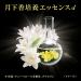 Japan Health and Beauty - Kao Sofina Sofina Beaute whitening lotion moist 140ml *AF27* by KAO - Buy Online on GoSupps.com