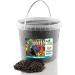 5kg Black Sunflower Seeds Wild Bird Food Sunflowers in Bucket (5kg) - Buy Online on GoSupps.com