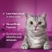 Whiskas Temptations 8 Packets Tasty Crunchy Treats for Adult Cats bite size Snacks with a delicious Chicken & Cheese Filling Pack of 8 (8 x 60 g) Chicken & Cheese 60 g (Pack of 8) - Buy Online on GoSupps.com