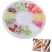 Mipcase Nail Beauty Accessories 12 manicure drill disc nail art decor Soft pottery accessories polymer clay DIY decoration for nail manicure tool boxed Manicure tools nail art tools fruit - Buy Online on GoSupps.com