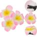 Beaupretty Flower Decorations 1pc Women's Shoes and Hats Hair Piece Frangipani Headpiece - Buy Online on GoSupps.com