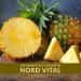 Buy NEW! Bromelain 5000 F.I.P - 180 Vegan Gastrointestinal Capsules | Natural Pineapple Extract | Made in Germany - Shop Now! - Buy Online on GoSupps.com