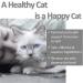 Vet Worthy Wild Alaskan Salmon Oil for Cats - 8 oz | Omega-3 Supplement - Buy Online on GoSupps.com
