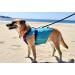 UPF 50+ UV Filter T-Shirts for Dogs - Protect Your Pet from Sun Damage (Size S) | International Shipping Available - Buy Online on GoSupps.com