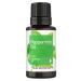 Peppermint Essential Oil | 15mL | by Horbaach