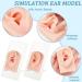 OLYCRAFT 2pcs Silicone Ear Model with Acrylic Display Stands for Jewelry Earring Display and Piercing Practice - Buy Online on GoSupps.com