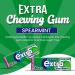 Extra/Orbit Sugar Free Bulk Chews for All Flavors - Peppermint Watermelon Strawberry Ice Apple White Fresh Breeze Bubble Mint Blueberry Spearmint and More - Buy Online on GoSupps.com