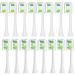 AYAITEE Replacement Brush Heads Compatible with Philips Sonicare 7900 Toothbrush fit DiamondClean 9000 ProtectiveClean 4300-16 Pack Toothbrush Heads White White 1 count (Pack of 16)