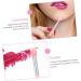MAGICLULU 4 Sets Lip Gloss Brush Nose Remover Lip Applicator Wands Silicone Makeup Brush Eyeshadow Brush Lip Brush Mini Miss Cosmetic Lipstick Brush Pink - Buy Online on GoSupps.com